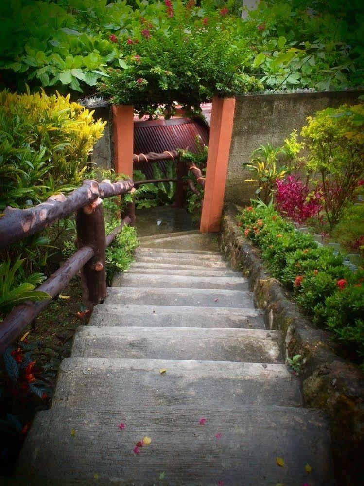 Hilltop Cottages 로복 외부 사진